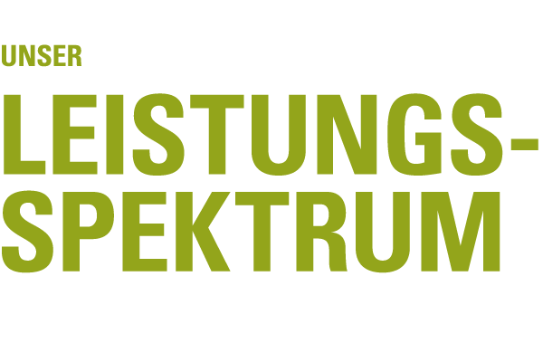 Leistungsspektrum